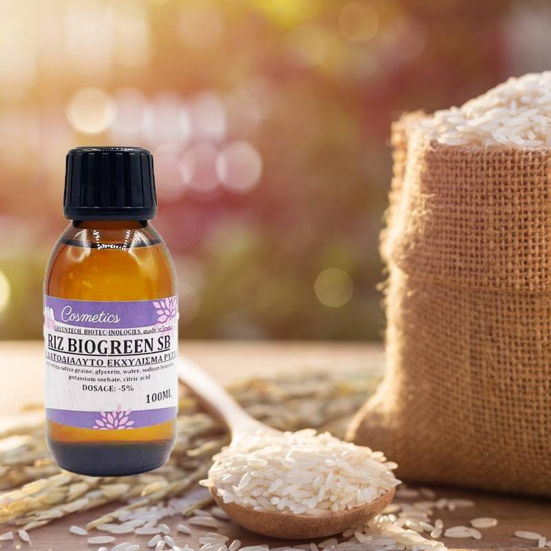 Εκχύλισμα Ρυζιού