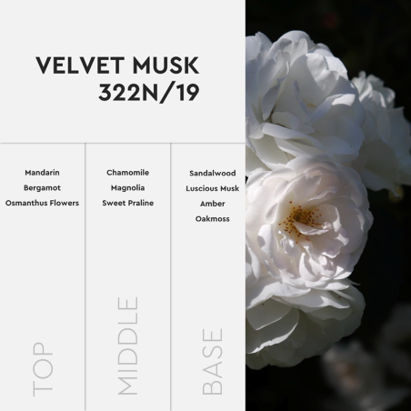 Perfume Velvet Musk