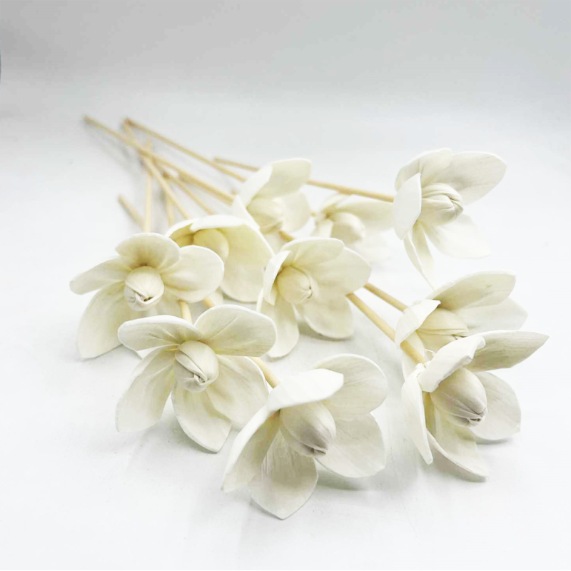 Diffuser Sticks Fiber Jasmin (10 pcs)