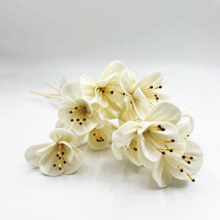 Fiber Sticks Αρωματισμού Orange Blossom (10 τμχ)