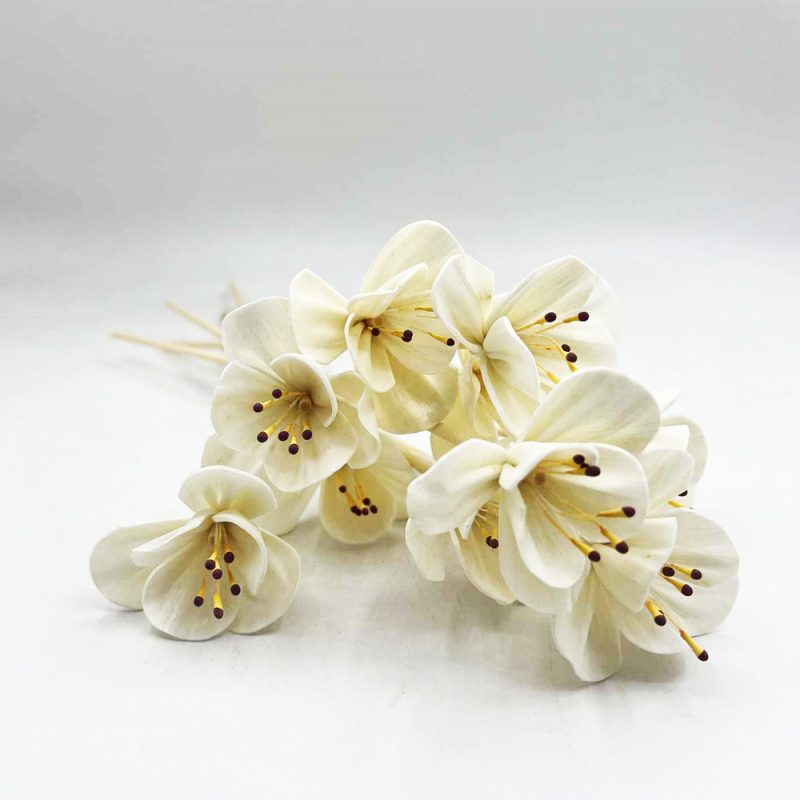 Fiber Sticks Αρωματισμού Orange Blossom (10 τμχ)