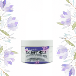 Amisoft MS 11