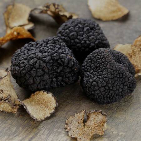 Black Truffle Extract