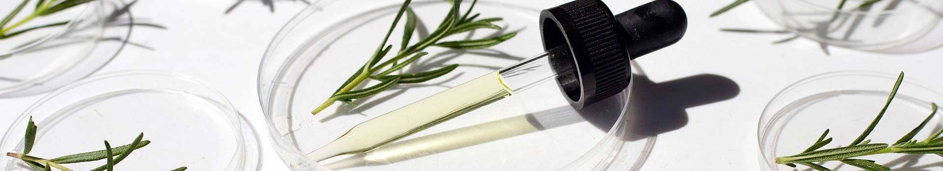 Ενεργά Συστατικά